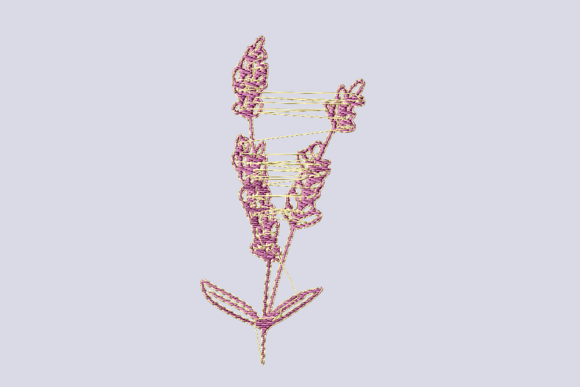 Lavender Flower