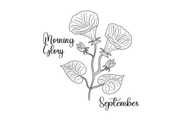 September Birth Flower Embroidery