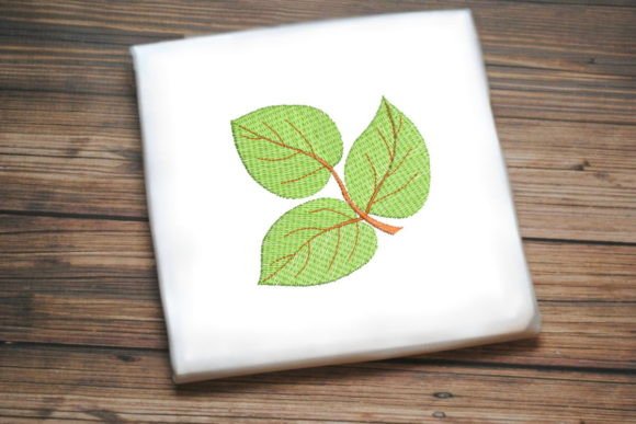 Three Beautiful Leaves